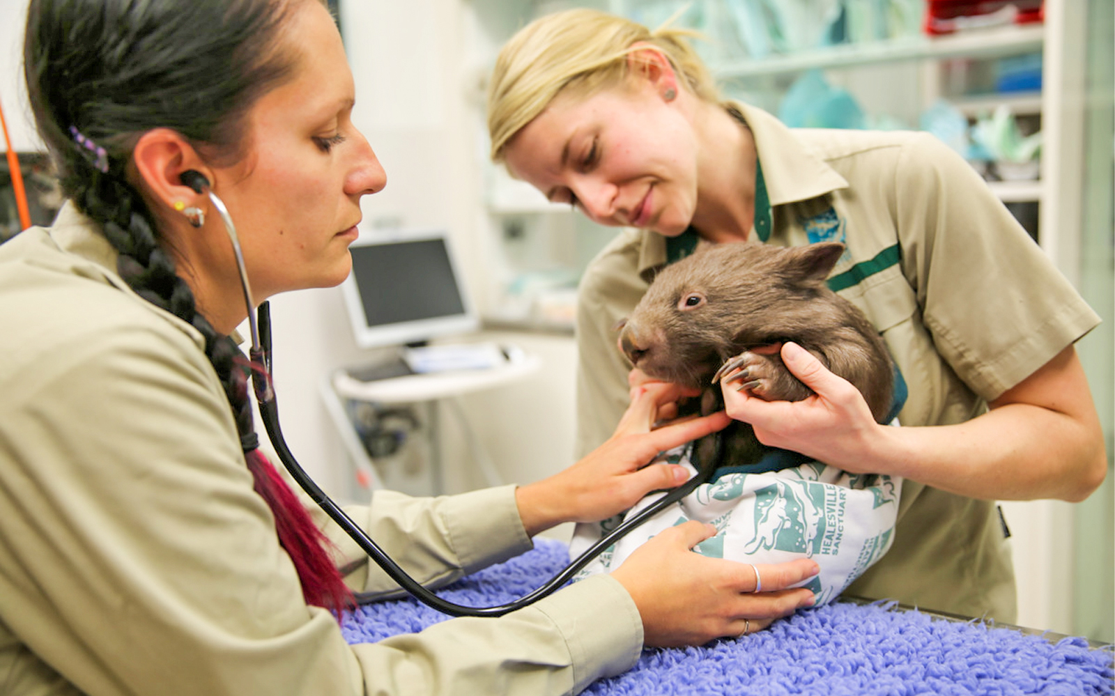 Healesville Sanctuary Melbourne