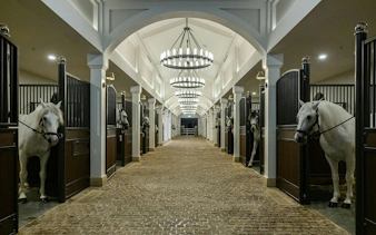 Stables with white horses at Abu Dhabi Royal Equestrian Arts.