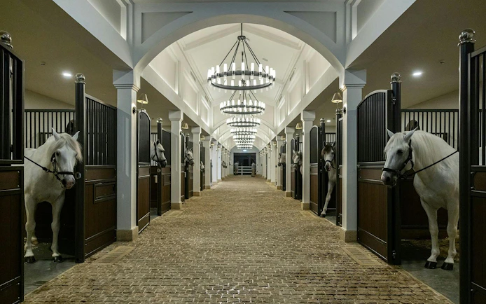 Stables with white horses at Abu Dhabi Royal Equestrian Arts.