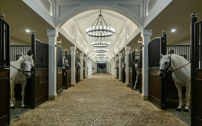 Stables with white horses at Abu Dhabi Royal Equestrian Arts.