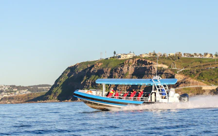 Newcastle Adventure Boat Tour