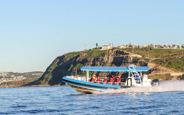 Newcastle Adventure Boat Tour