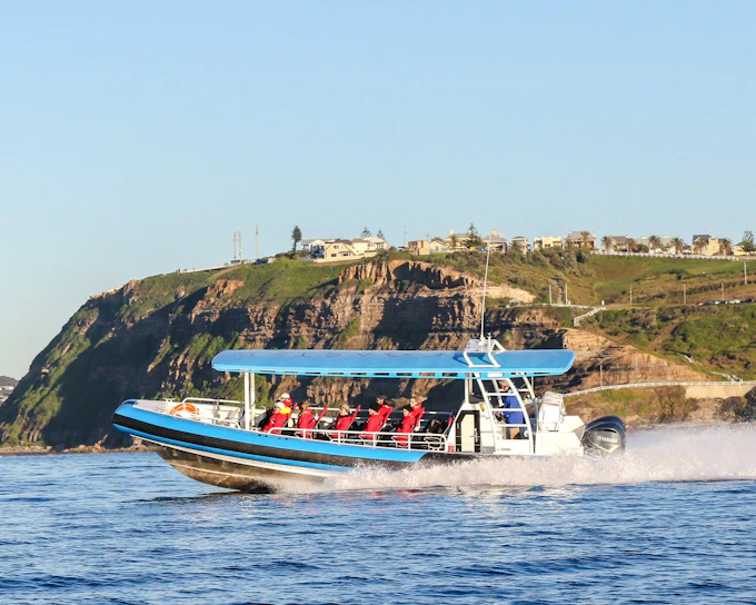 Newcastle Adventure Boat Tour