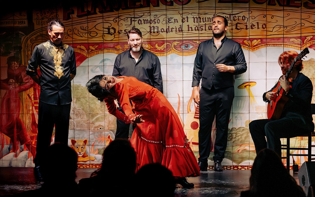Flamenco dancer in red dress performing with musicians at Flamenco De Leones Show.
