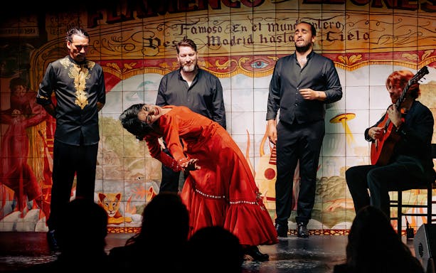 Flamenco dancer in red dress performing with musicians at Flamenco De Leones Show.