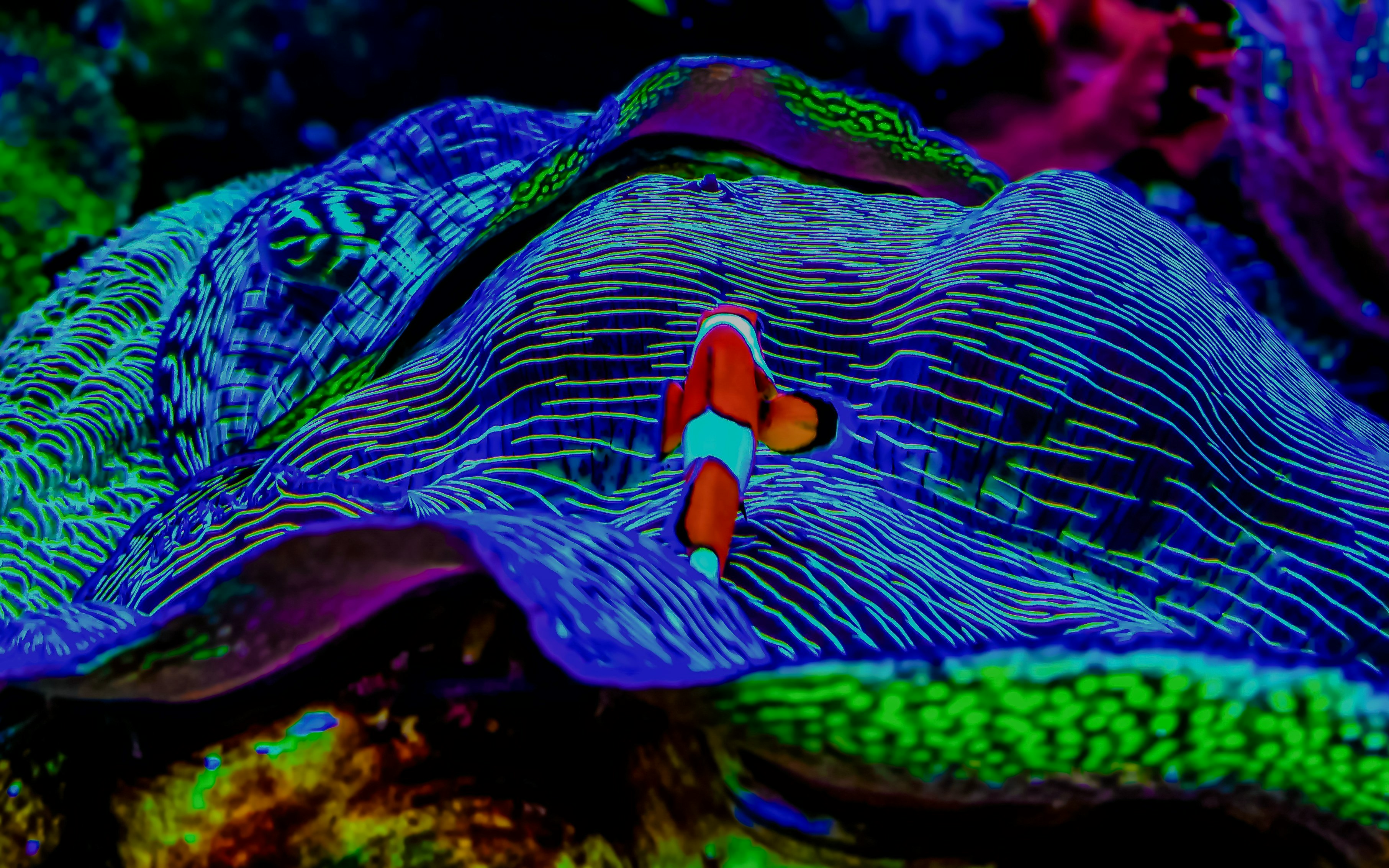 Clownfish swimming over glowing coral reef.