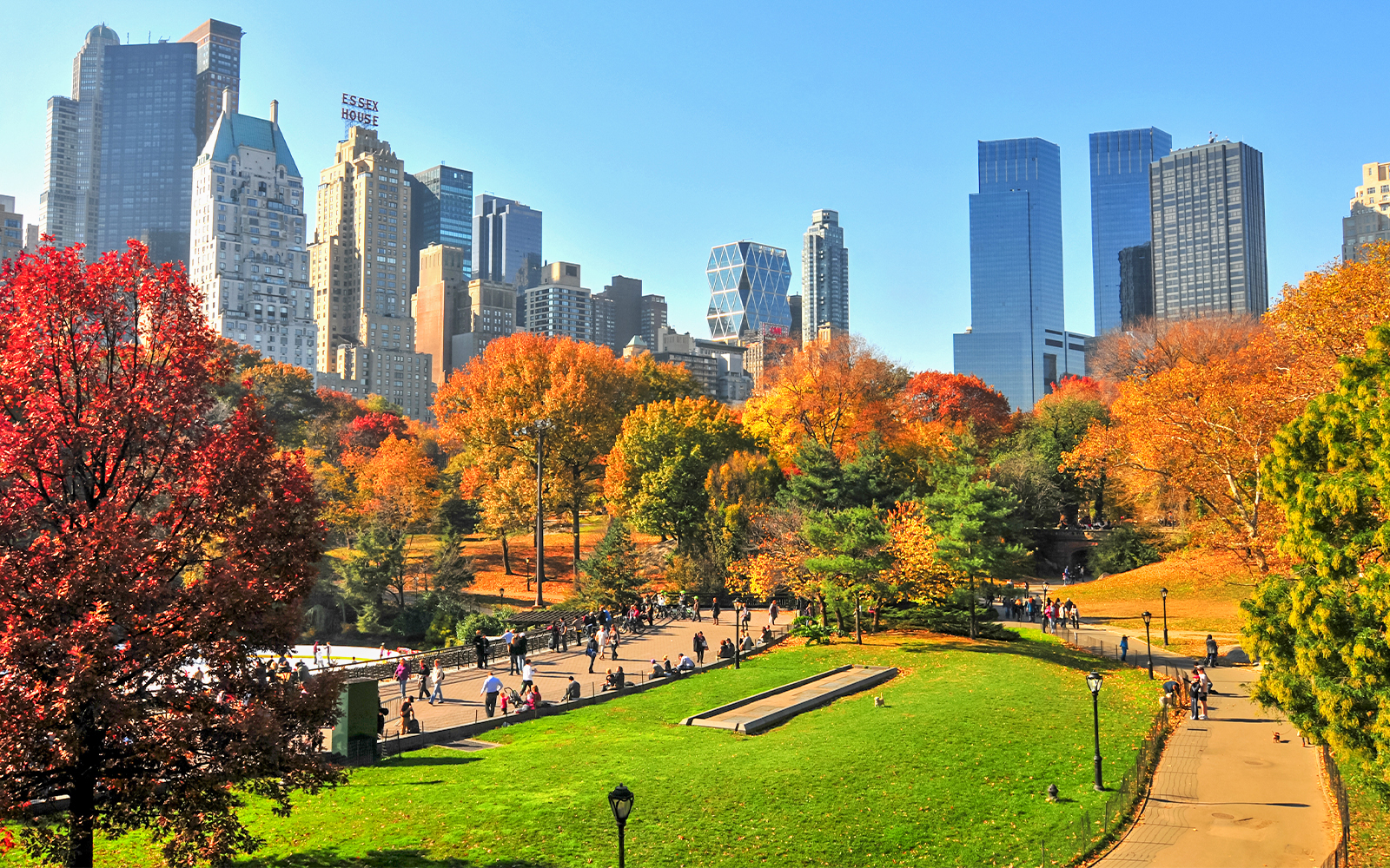 Central Park in autumn with colorful foliage and New York City skyline in the background.