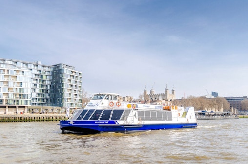 Thames Sightseeing Cruise with Flexible Time and Departure Pier