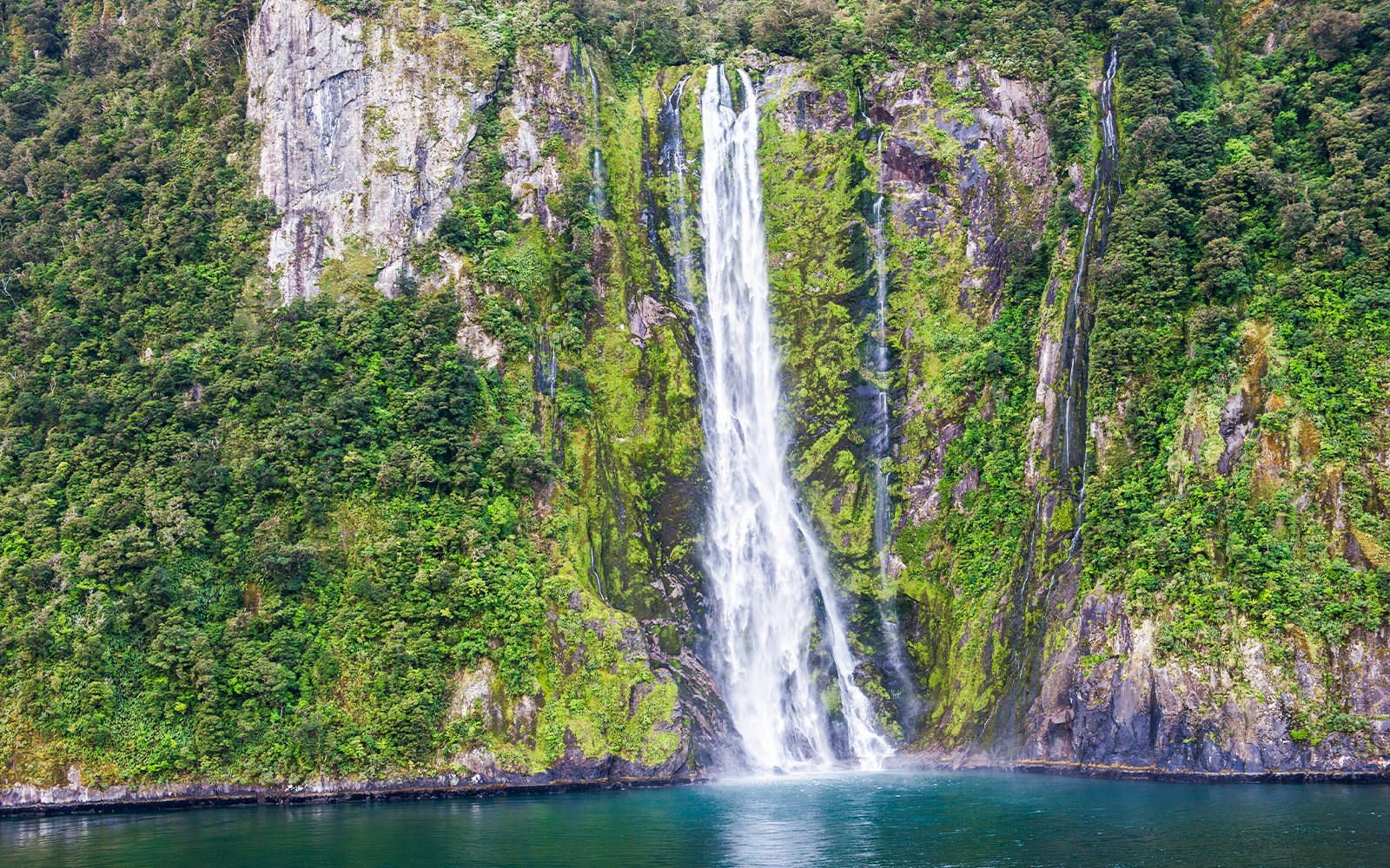 Croisière Milford Sound