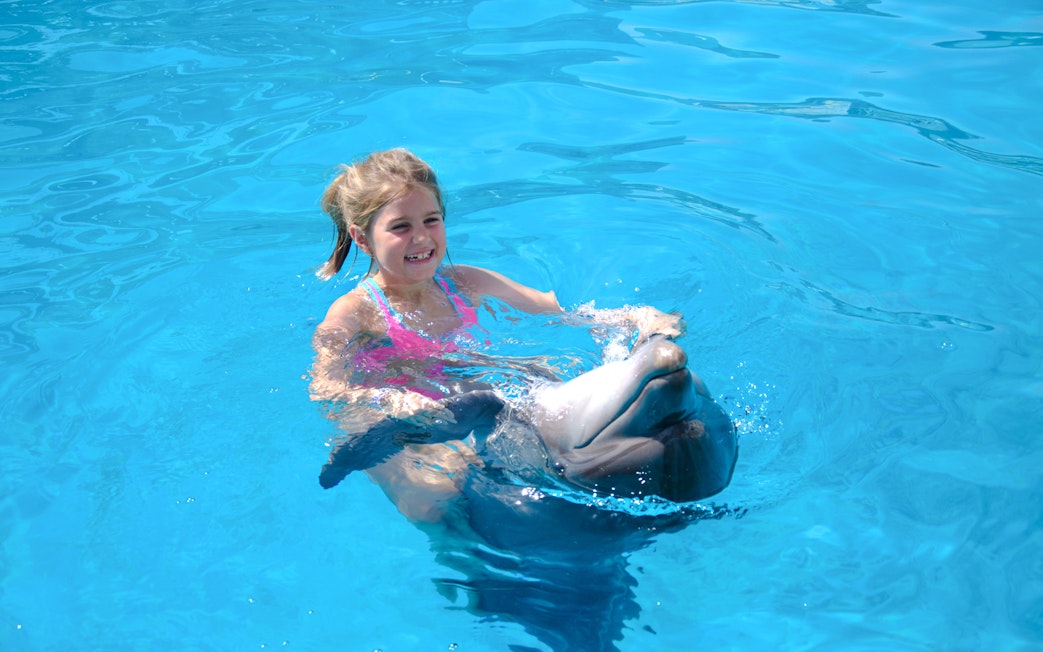 Child interacting with dolphin during Private Dolphin Swim Adventure.