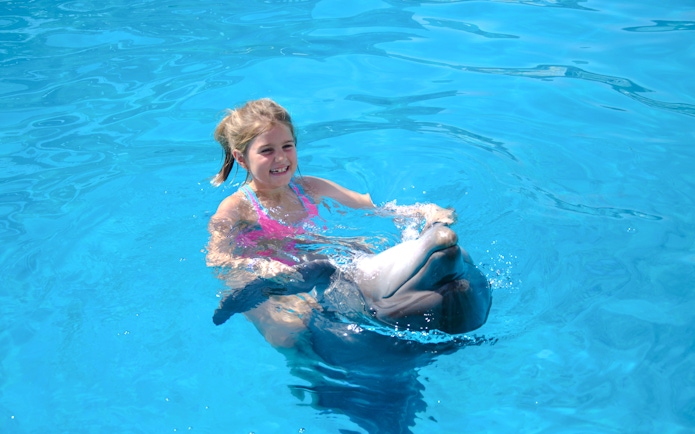 Child interacting with dolphin during Private Dolphin Swim Adventure.