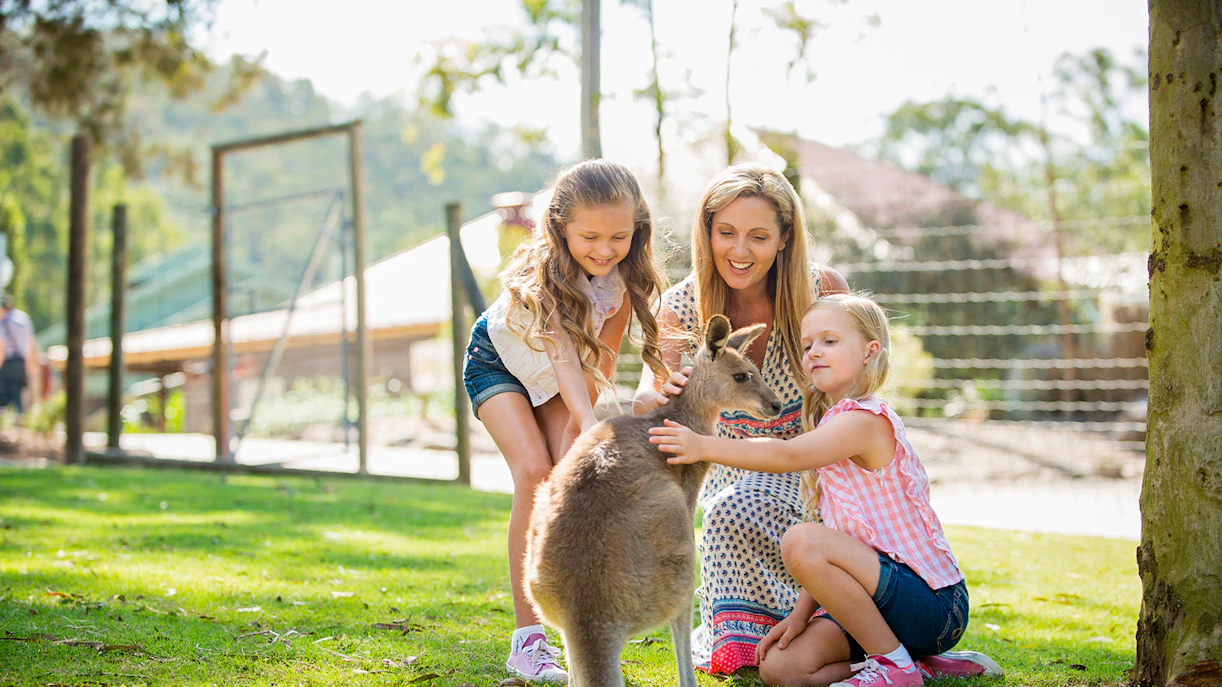 A family petting a Kangaroo at Paradise Country
