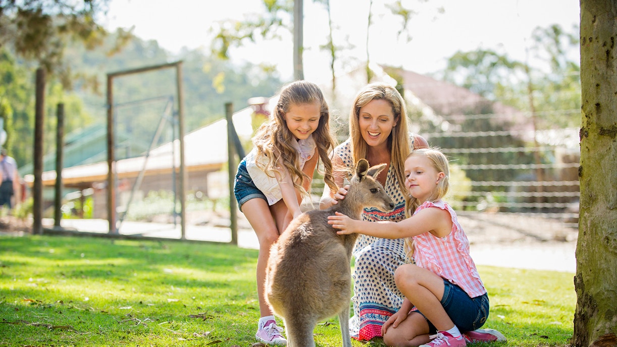 A family petting a Kangaroo at Paradise Country