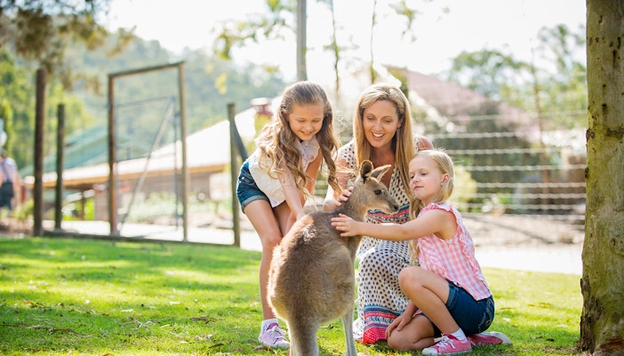 A family petting a Kangaroo at Paradise Country