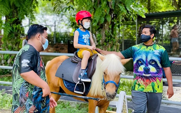 Child riding a pony with guides at G2G Animal Garden.