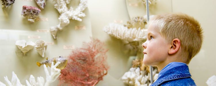 Città Della Scienza