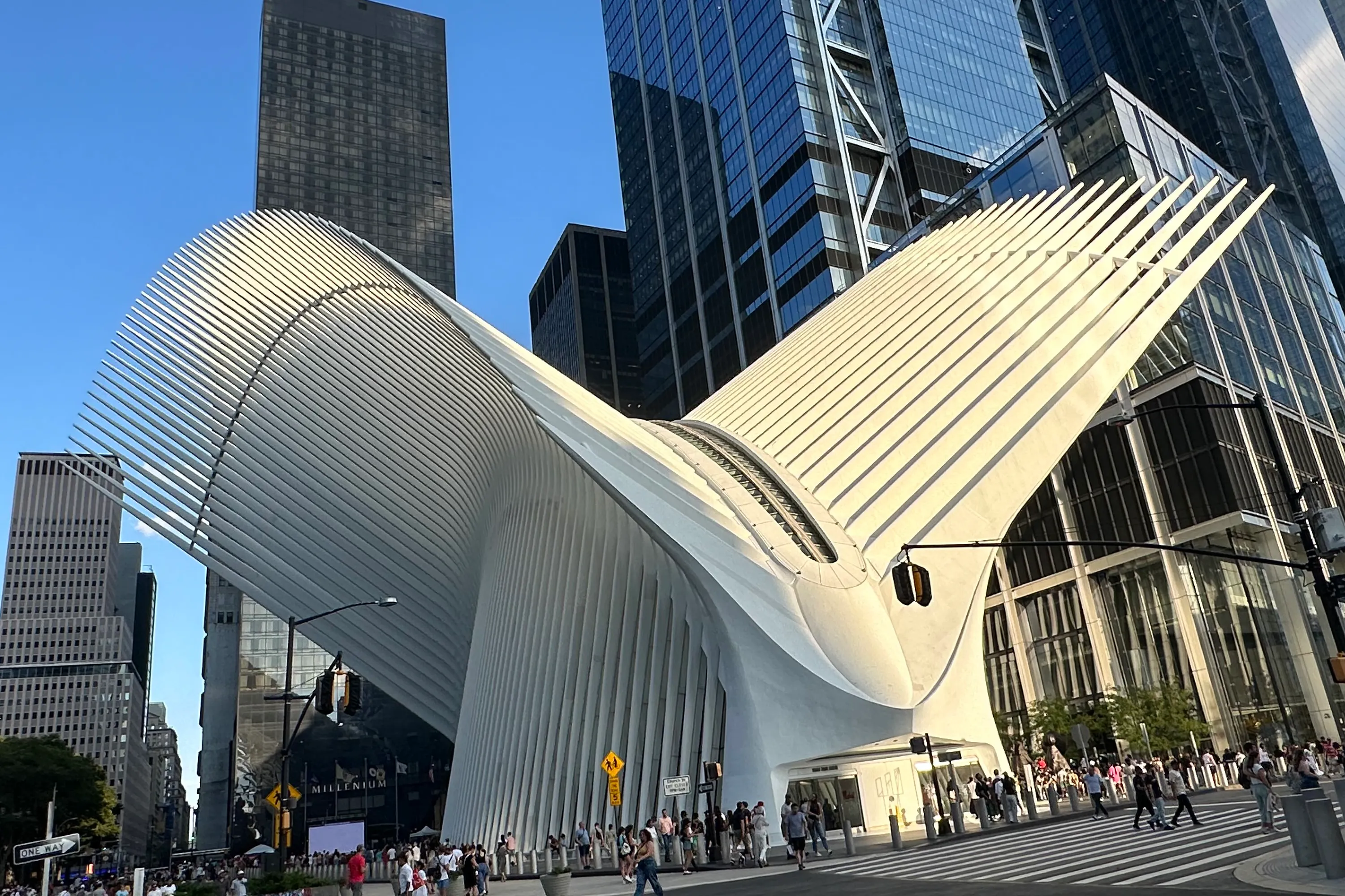 Oculus building's winged architecture in New York City against skyscrapers.