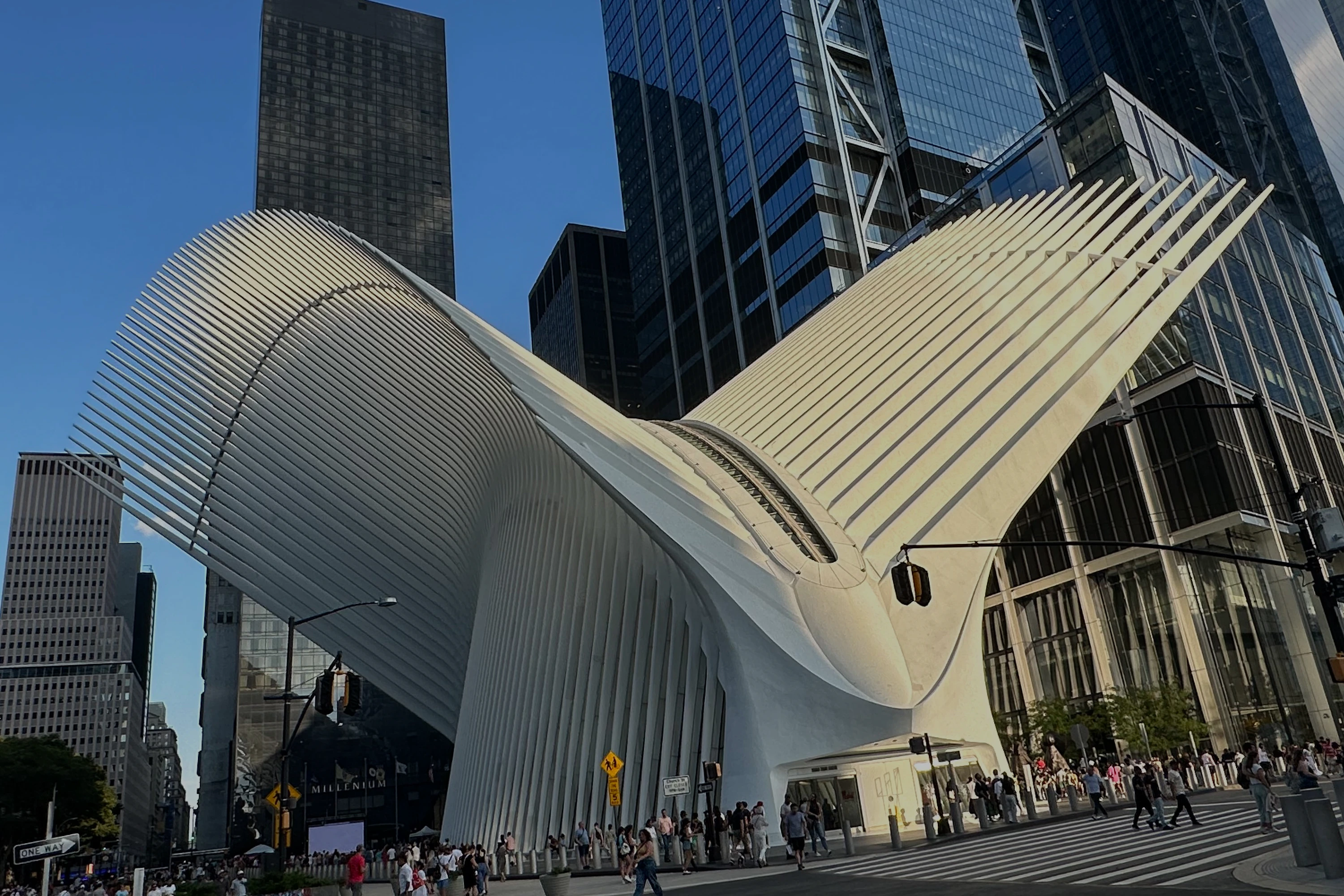 Oculus building's winged architecture in New York City against skyscrapers.