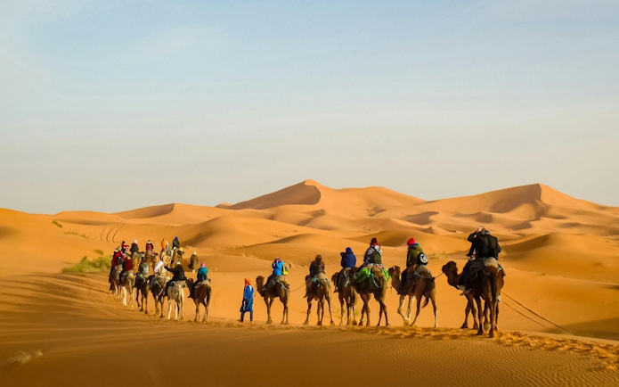 Camels trekking across golden dunes in the Sahara Desert near Merzouga.