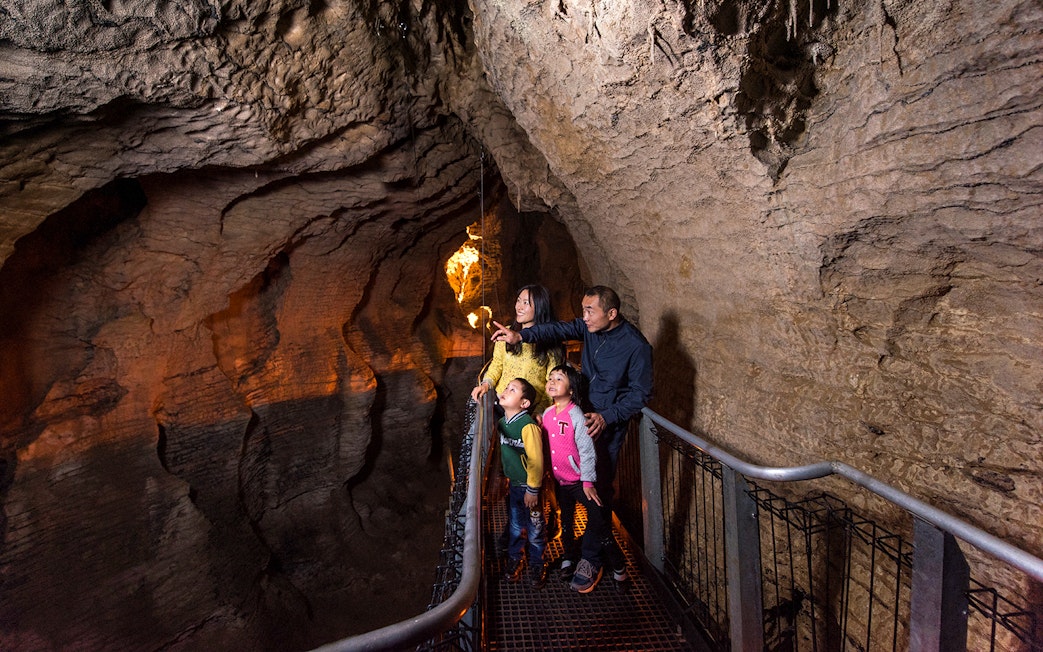 Family exploring Aranui Cave on guided tour, admiring rock formations.