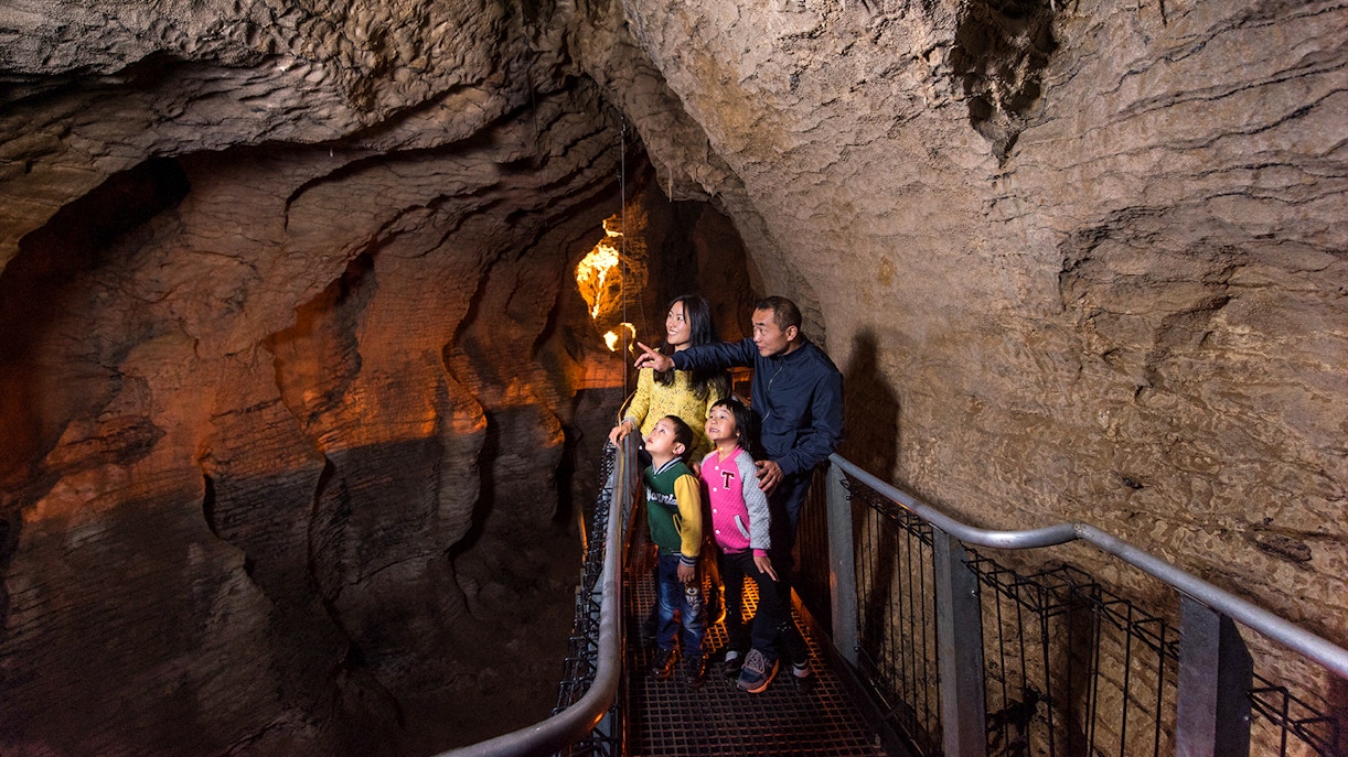 Family exploring Aranui Cave on guided tour, admiring rock formations.