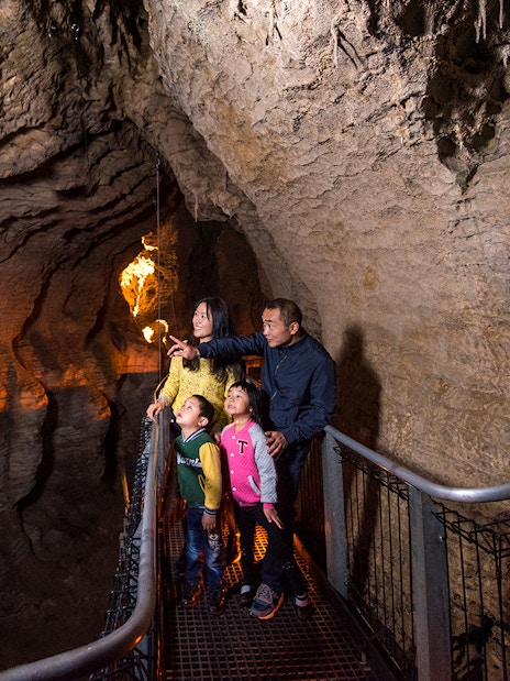 Family exploring Aranui Cave on guided tour, admiring rock formations.