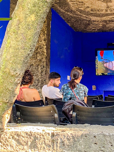 Visitors watching a video at the Frida Kahlo Museum's outdoor area.