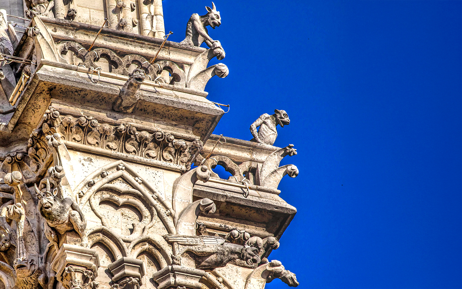 Notre-Dame Cathedral facade with tourists using audio guides in Paris.