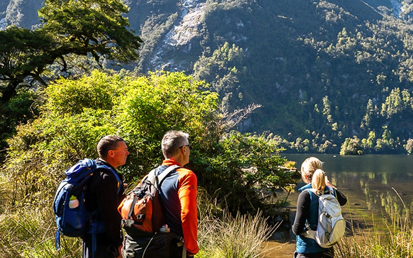 Hikers on Milford Track with mountain view in New Zealand.