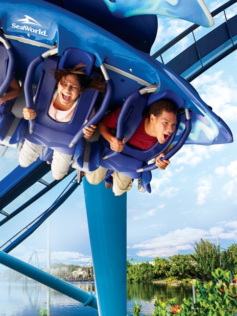 Riders on Manta roller coaster at SeaWorld, experiencing a thrilling loop.