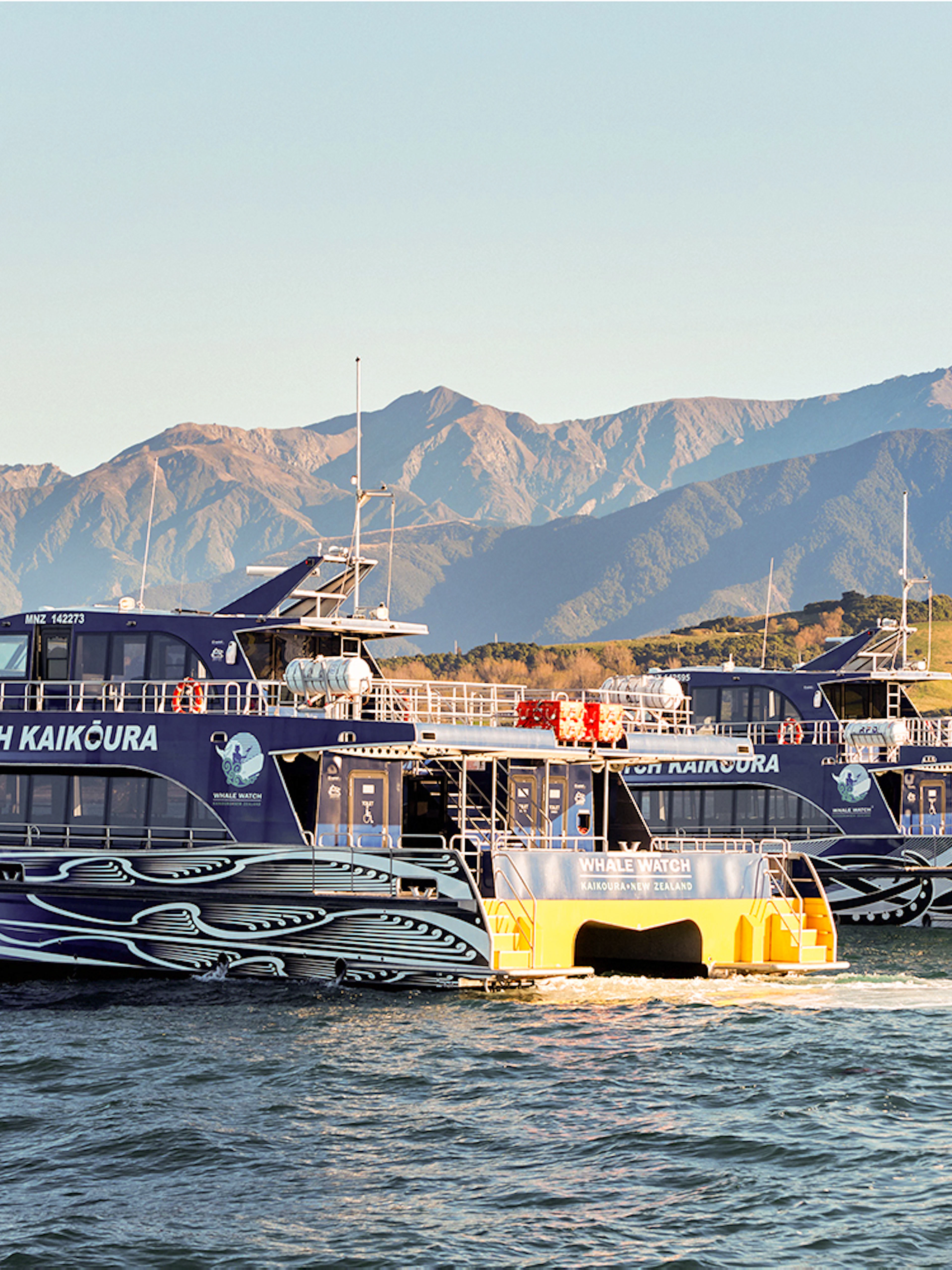 Whale watching boats in Kaikoura with mountains in the background.