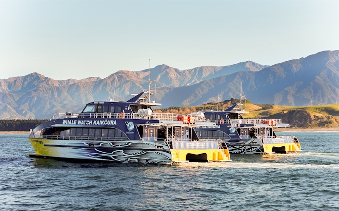Whale watching boats in Kaikoura with mountains in the background.