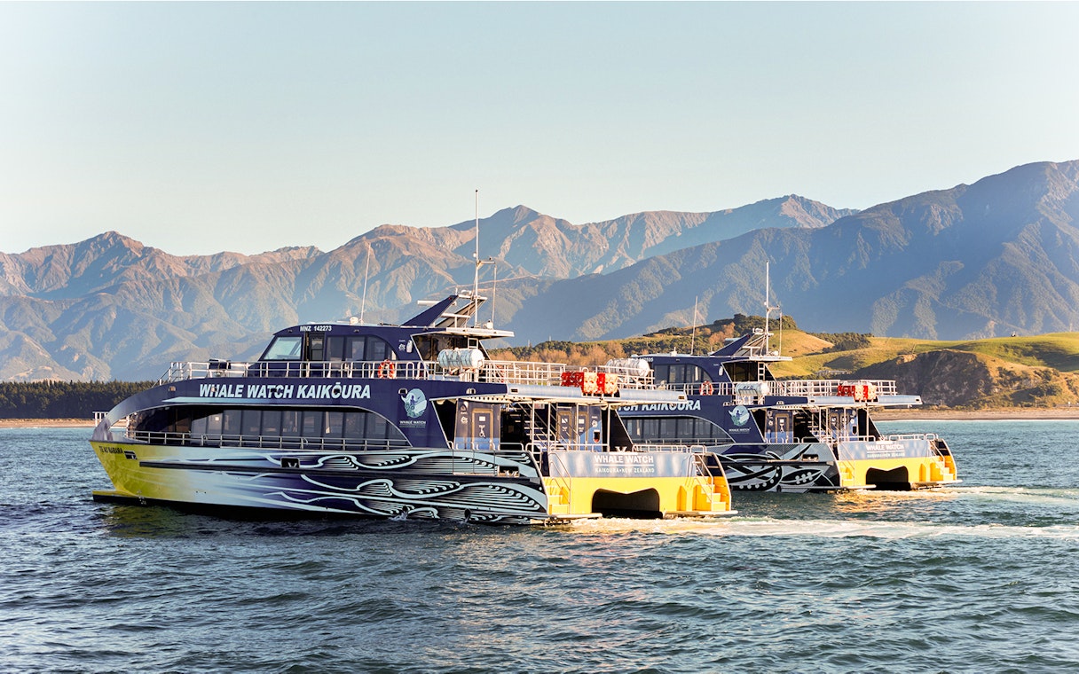 Whale watching boats in Kaikoura with mountains in the background.