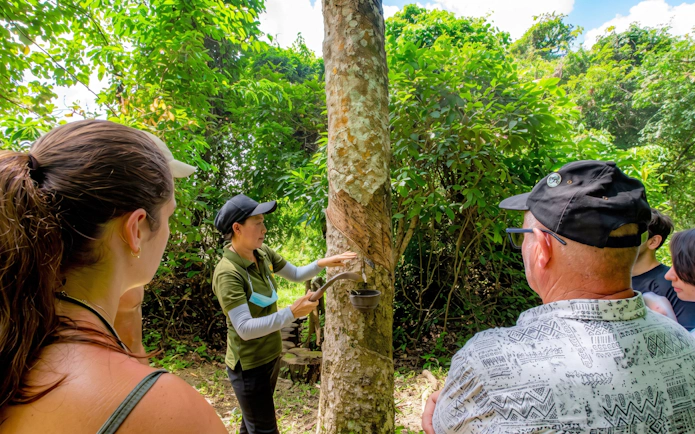 Guide demonstrating rubber tapping to tourists at Phuket Elephant Nature Park.