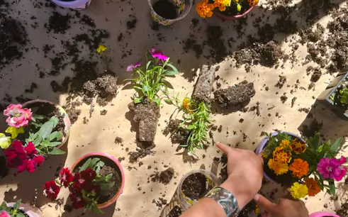 Planting flowers at a workshop in Village Solaire, Essaouira.