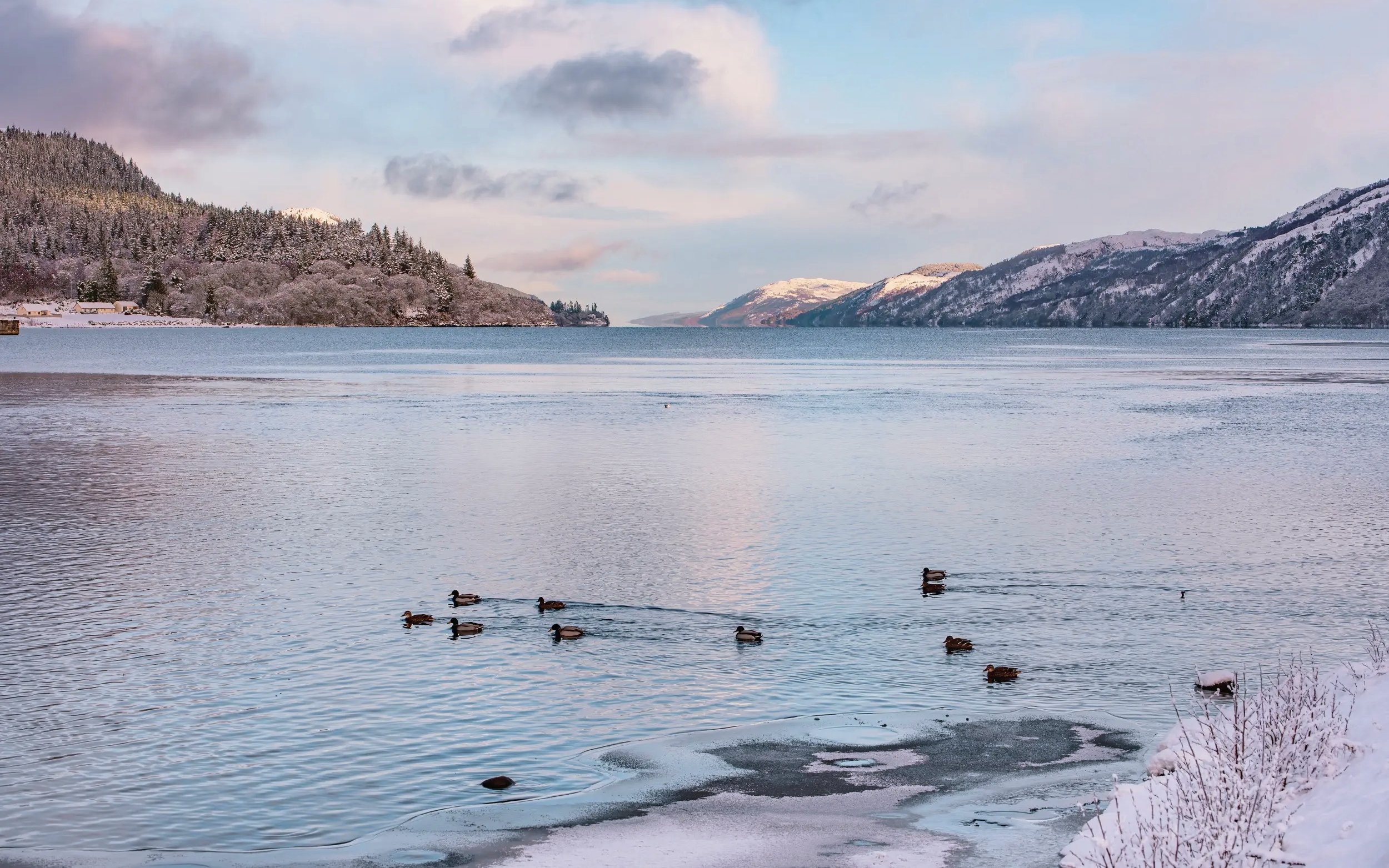 Loch Ness with ducks swimming near snowy banks and forested hills in the background.