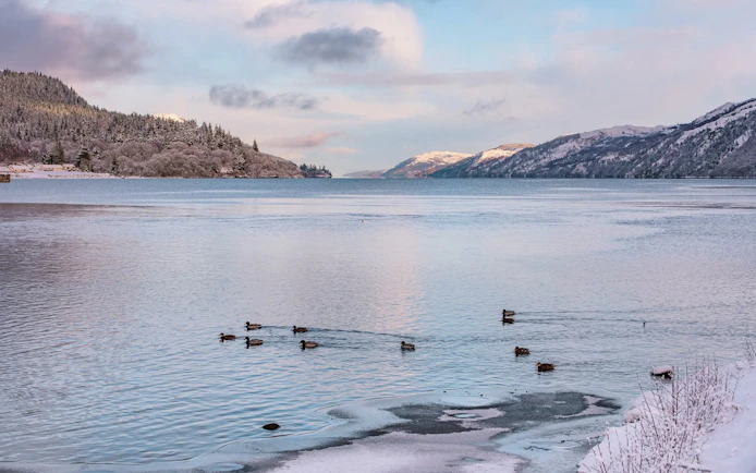 Loch Ness with ducks swimming near snowy banks and forested hills in the background.