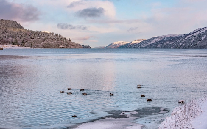 Loch Ness with ducks swimming near snowy banks and forested hills in the background.