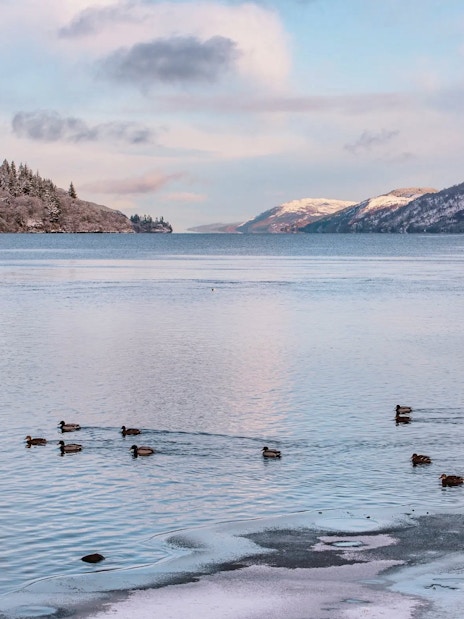 Loch Ness with ducks swimming near snowy banks and forested hills in the background.