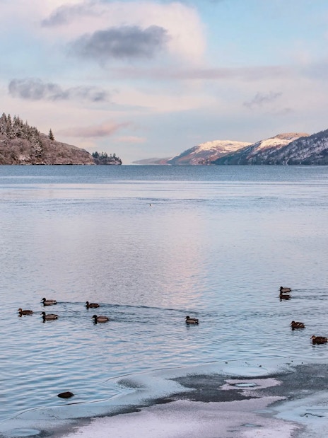 Loch Ness with ducks swimming near snowy banks and forested hills in the background.