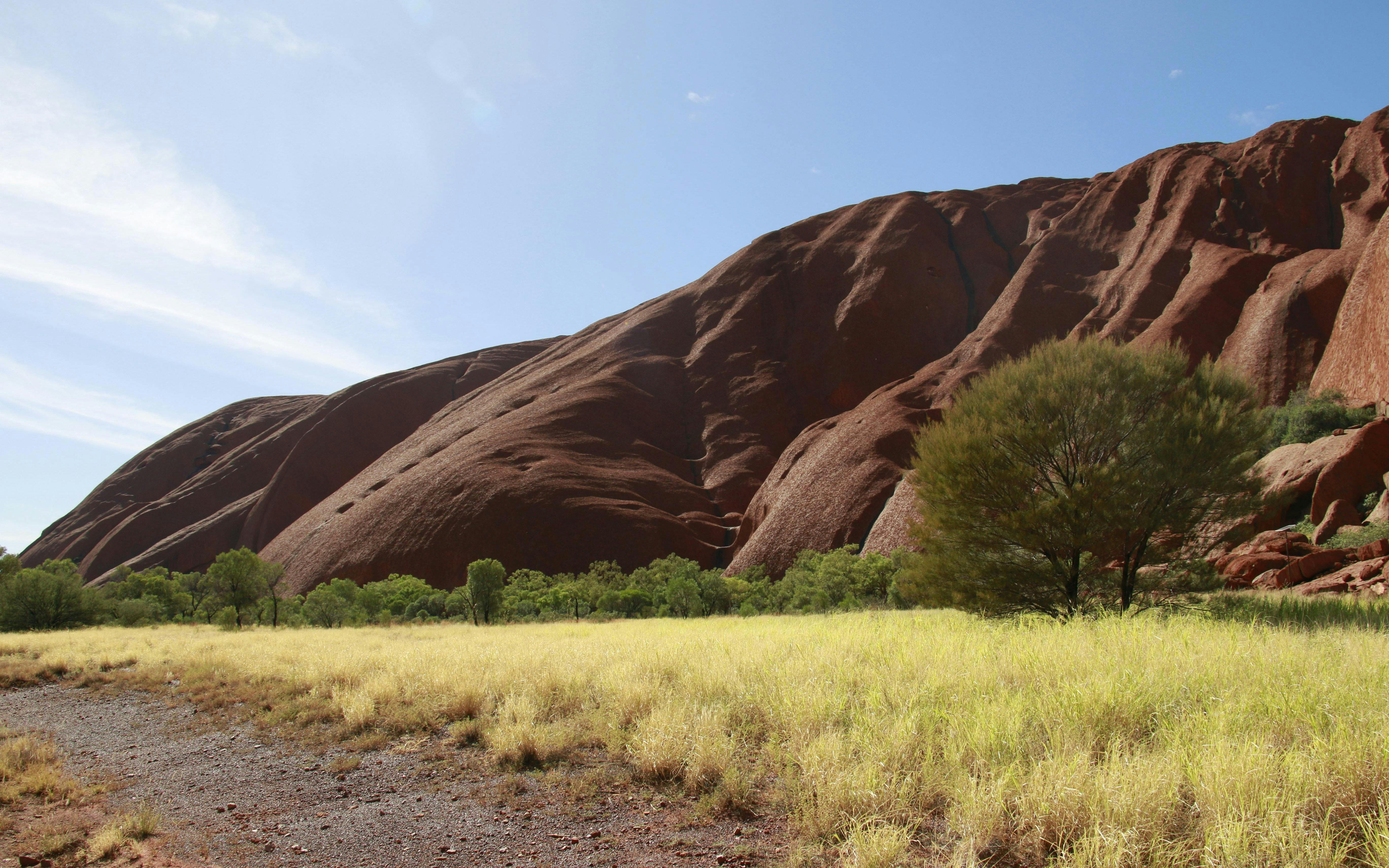 Uluru rock formation with surrounding greenery under a clear sky during sunset tour.