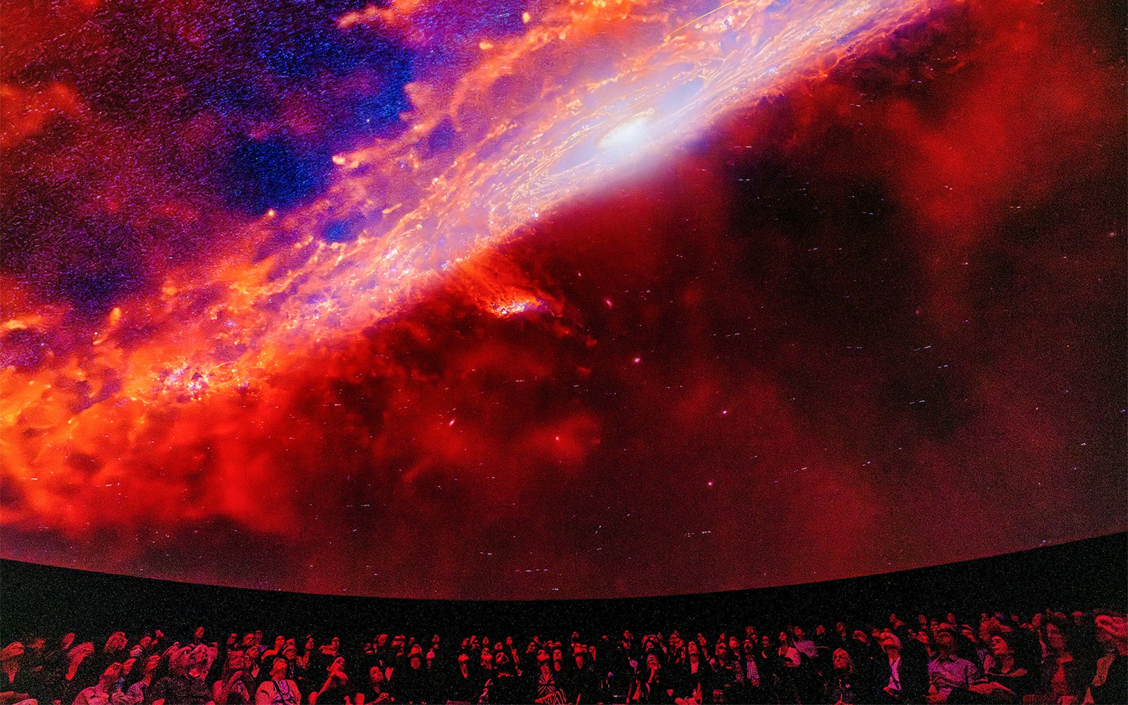 Visitors exploring the Encounters in the Milky Way exhibit at the American Museum of Natural History.