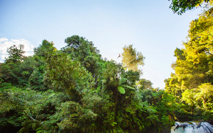 Person ziplining through lush forest canopy in Rotorua, New Zealand.