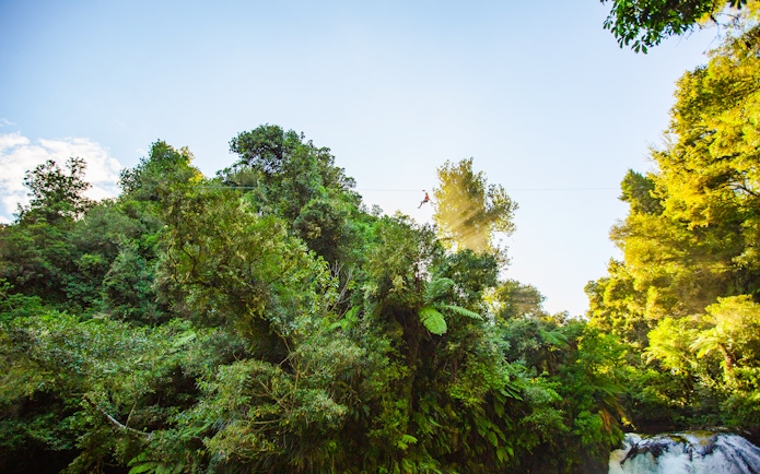 Person ziplining through lush forest canopy in Rotorua, New Zealand.
