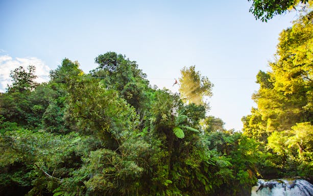 Person ziplining through lush forest canopy in Rotorua, New Zealand.
