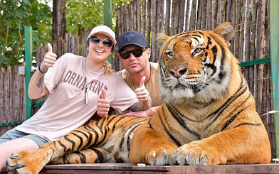 Couple gives thumbs up behind a tiger at Tiger Kingdom experience.