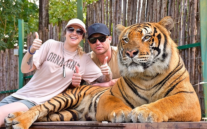 Couple gives thumbs up behind a tiger at Tiger Kingdom experience.