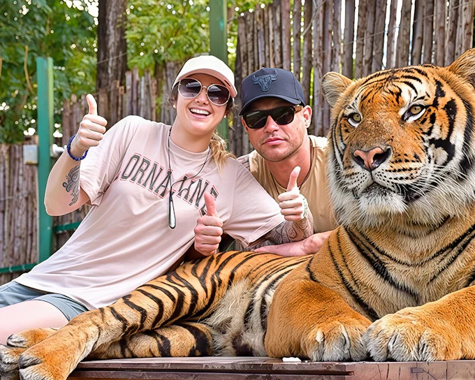 Tiger Kingdom Tickets with Private Transfers & Tiger Interaction