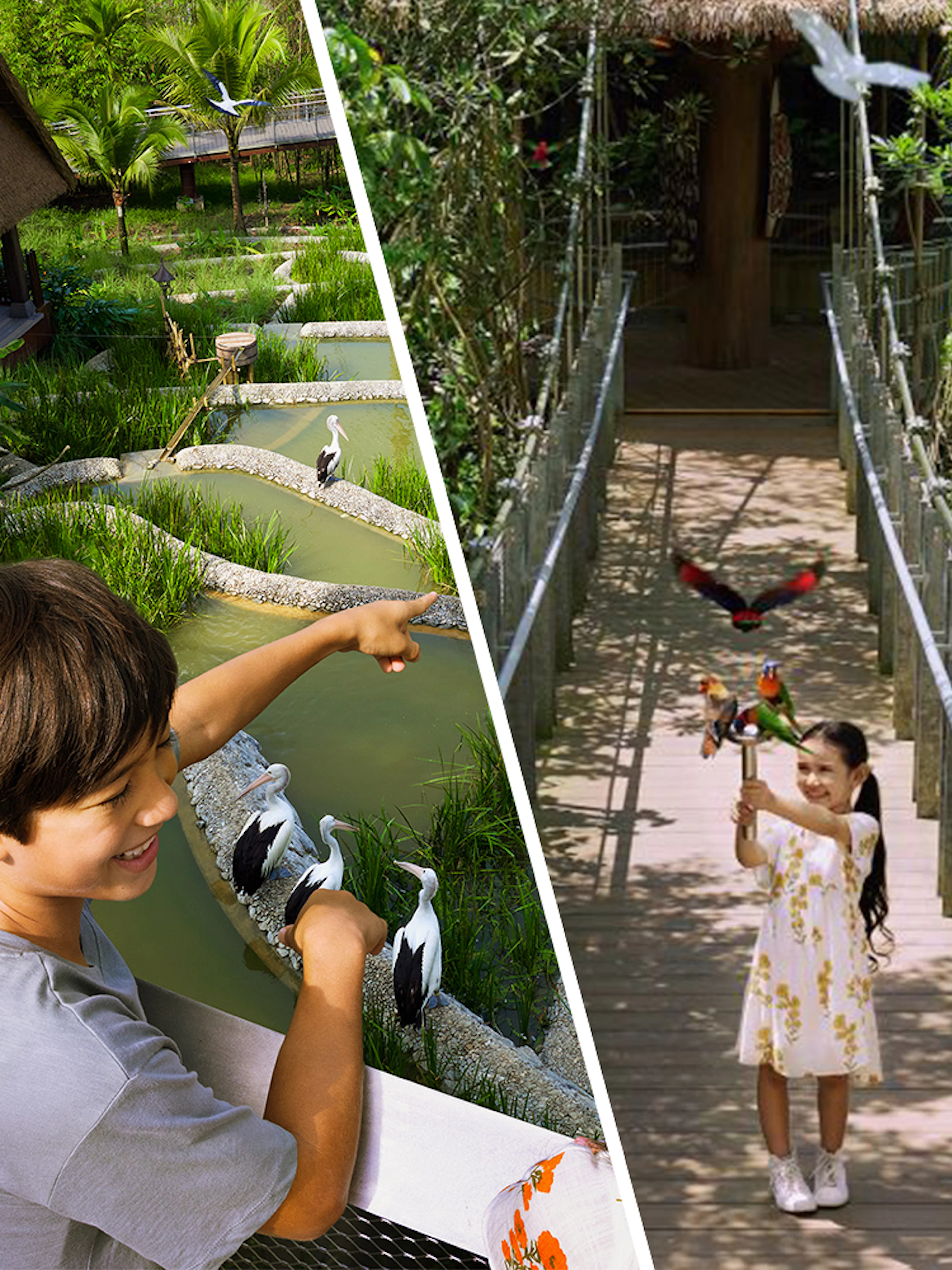 Children interacting with birds at a lush aviary during a VIP walking tour.