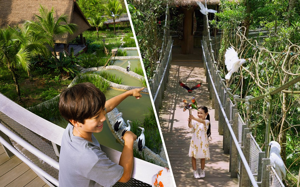 Children interacting with birds at a lush aviary during a VIP walking tour.